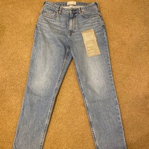 Everlane Curvy Cheeky Jean Sky Blue Wash